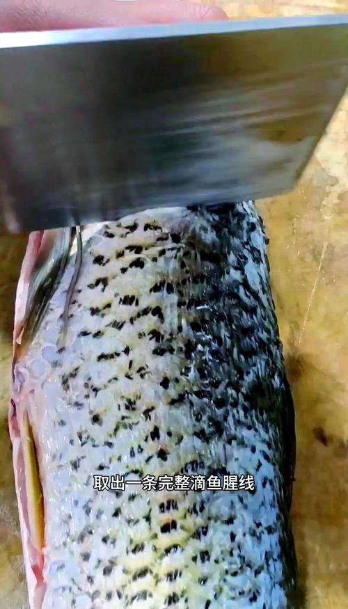 鲤鱼去腥线方法图解_去除鱼腥线,简单保新鲜 鲤鱼去腥线方法图解_去除鱼腥线,简单保新鲜