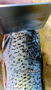 鲤鱼去腥线方法图解_去除鱼腥线，简单保新鲜