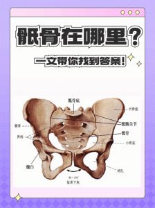 腰骶部位置图图片_保护腰骶部，远离疼痛困扰！