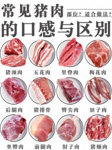 二刀肉和五花肉的区别_风味口感大不同