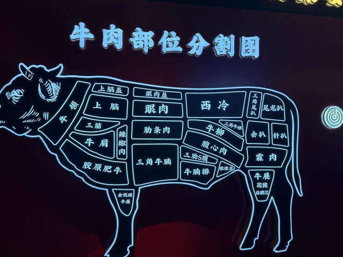 牛各部位肉分布图_炖烤煎炒全解析