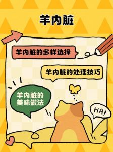 羊身上哪个部位叫弹簧_冬季吃羊肉暖身，羊身上弹簧部位弹韧，去膻有妙招
