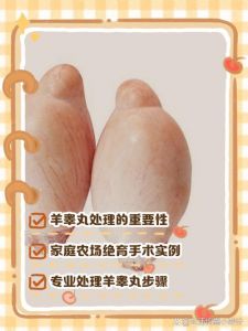 羊腰和羊蛋的区别_羊腰羊蛋补肝肾，快炒慢煮正当时