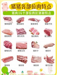 猪各部位的肉的叫法_猪肉部位多，各有妙吃法！
