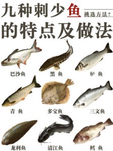 乌鱼和鲈鱼哪个刺多_鲈鱼黑鱼少刺，营养不同挑对吃