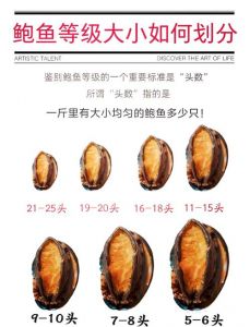 如何判断鲍鱼熟了_蒸煮鲍鱼多长时间？小鲍鱼1-3分钟，大鲍鱼5-8分钟