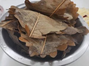 东北伯乐叶饼的做法_香浓馅料，柞叶包裹，蒜酱更佳！