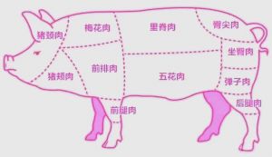 猪各部位详细结构图后座臀尖_猪肉部位不同，做法也不同