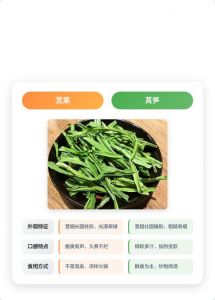 莴笋与贡菜有什么区别_口感营养大不同