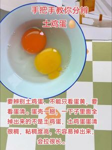 土鸡蛋和普通鸡蛋的味道区别_散养土鸡蛋VS普通蛋，营养相差无几，新鲜最重要！