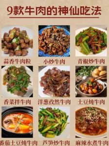 鲜烧牛肉做法_火候调味全知道