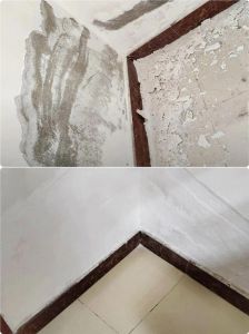 墙皮发霉鼓包掉皮怎么处理_墙面发霉鼓包？基层处理是关键！