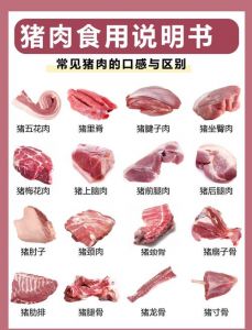 猪肉各部位名称图解_下五花最佳，上五花做馅，里脊减脂，雪花煎烤！