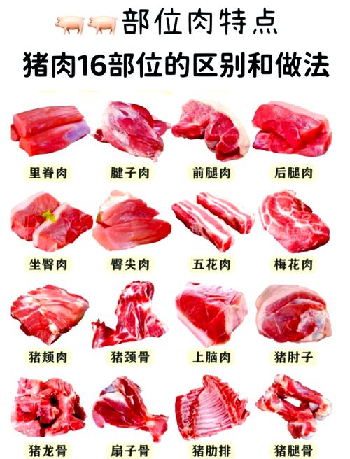 猪肉部位图片名称_猪肉各部位做法不同，选购有讲究