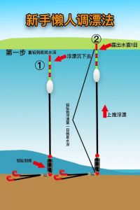 调漂的正确方法图解_调漂找底调目钓目，精准感知鱼讯