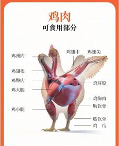 鸡翅根和鸡小腿区别_大小肉质大不同