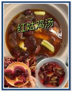 红菇炖鸡的做法大全_补血养颜，营养丰富