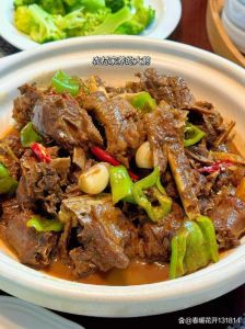炖鹅肉的家常做法_柴火慢炖鹅，酥烂粉条香，家常味绝了！