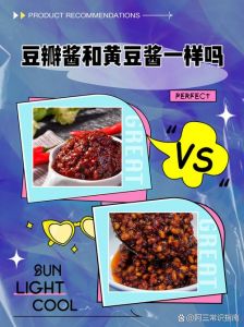 豆瓣酱能代替黄豆酱吗_黄豆酱与豆瓣酱风味不同，各有所长