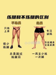 健身最难练的部位_手臂腿腹背针对性训练不能少