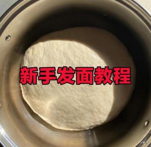 鲜酵母发面的正确方法_冬季发面难？酵母激活法轻松搞定！