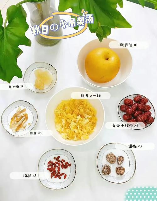 养生梨汤做法_秋月梨雪梨煲汤，润肺止咳养生壶小吊梨汤