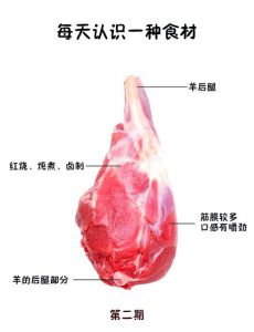 烤羊肉用羊的哪个部位_部位肥瘦平衡，解锁美味秘诀！