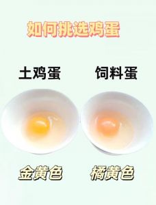 柴鸡蛋和普通鸡蛋的区别_柴鸡蛋VS普通蛋，营养口感有差异