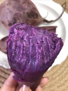 蒸好的紫薯可以过夜第二天吃吗_紫薯隔夜冷藏食用指南