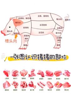 猪松板肉是哪个部位_嫩滑多汁，火锅烧烤皆宜