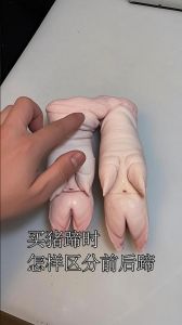猪蹄前后蹄的区别图_前蹄筋多适合炖煮，后蹄肉嫩适合煲汤