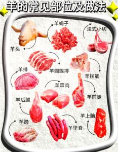 羊杂和羊双肠的区别_羊杂VS羊双肠，哪个更胜一筹？