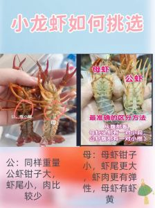蝲蛄虾和小龙虾分类学区别_东北蝲蛄虾VS小龙虾，哪个才是你的心头好？