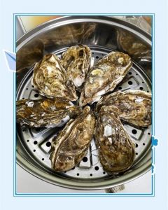 生蚝带壳蒸10分钟熟了吗_蒸生蚝时间多久？大小锅型怎么看？