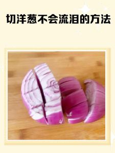 怎样切洋葱不辣眼睛_切洋葱不呛眼，冷藏刀具通风护目镜