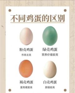 乌鸡绿壳蛋和普通鸡蛋的区别_乌鸡绿壳蛋营养更好？其实看品种和养法！