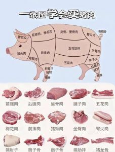 猪肉各部位名称带图_各部位做法与选购技巧