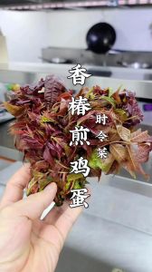 香椿芽炒鸡蛋的做法大全家常_香椿炒鸡蛋嫩滑香，焯水切碎鸡蛋炒，味道绝佳