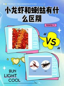 蝲蛄和小龙虾的区别_哪个更鲜美？