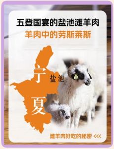 清炖滩羊肉做法_带肥膘滩羊肉，炖汤鲜美不膻