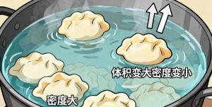 为什么饺子煮熟了就会浮起来_饺子浮起是熟了！