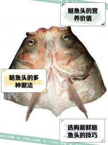 鳙鱼头和鲢鱼头的区别_大小口感怎么选？