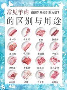 羊身上哪个部位最贵_羊宝上脑肚头贵难常吃