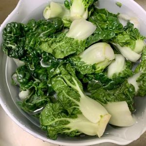 贝肉炒奶白菜的家常做法_鲜贝炒奶白菜，简单家常味美！