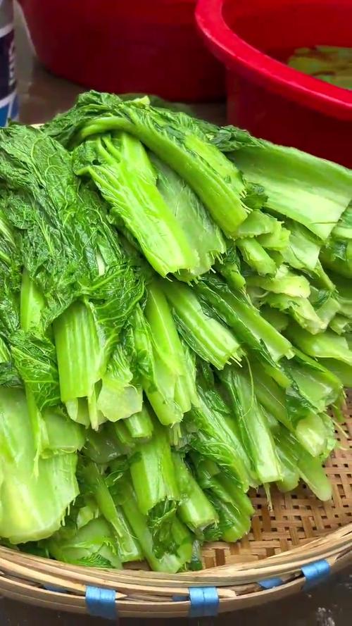 制作酸菜的青菜图片_酸爽乡愁，代代相传