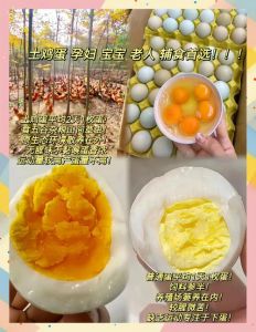 土鸡蛋和普通鸡蛋有什么区别_土鸡蛋营养差别大，别盲目选，看环境和品牌更靠谱