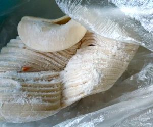 为什么速冻饺子皮不熟_速冻饺子煮不透？解冻水温很重要！
