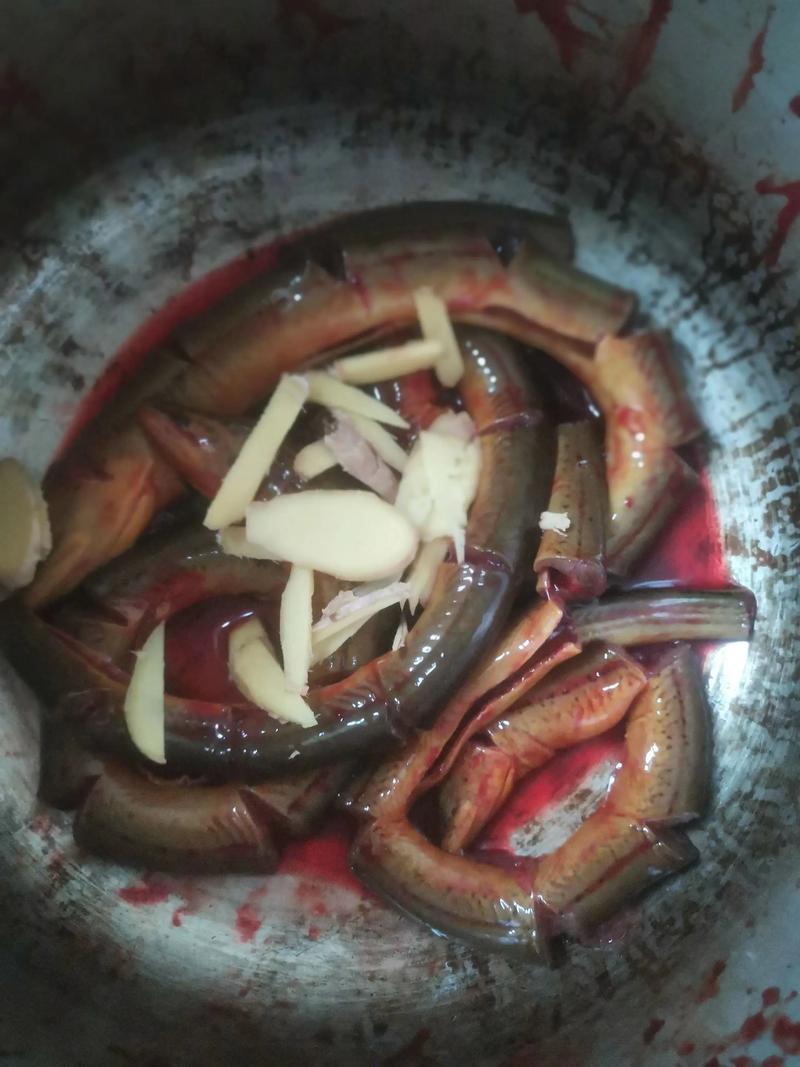 黄鳝隔水炖汤正宗做法_黄鳝去腥炖汤做法，鲜美不腥