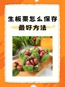 煮熟的板栗怎么保存_冷藏冷冻或密封，轻松延长保质期