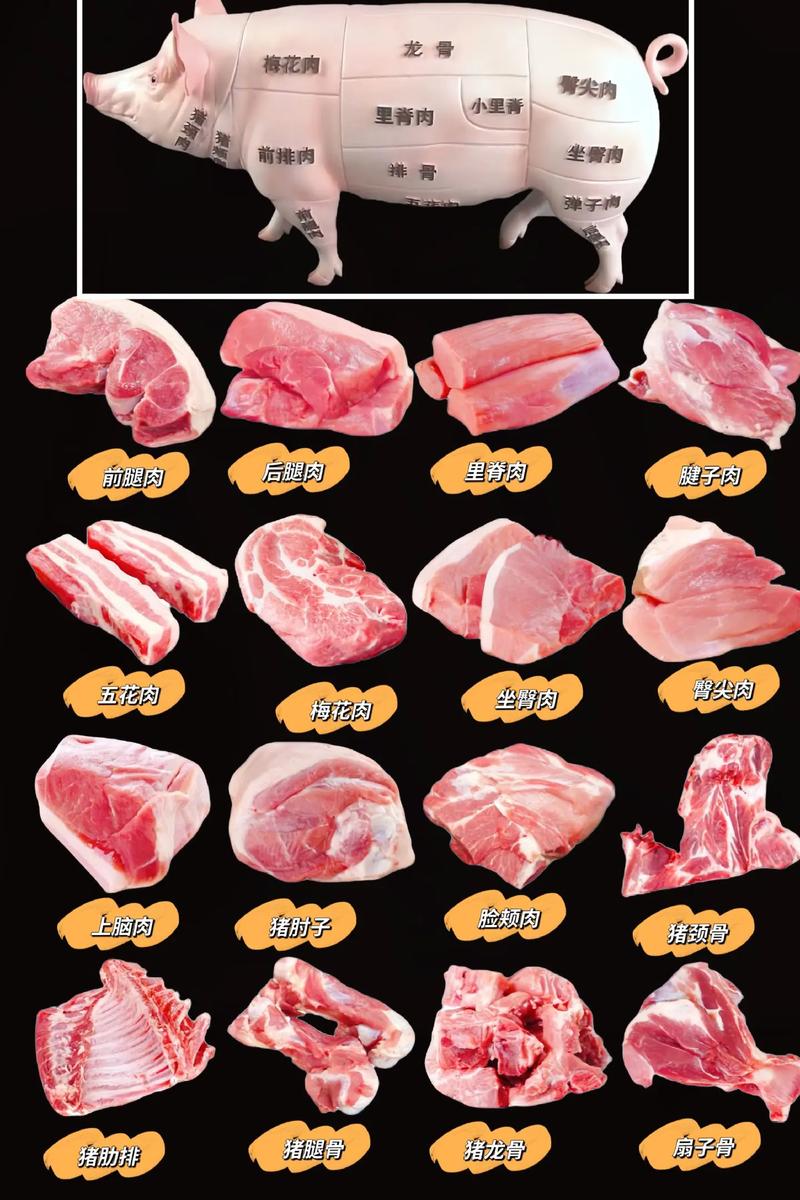 猪肉部位图片名称_猪肉各部位做法不同，选购有讲究